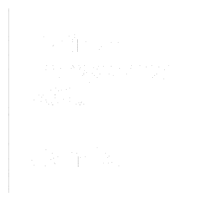 Guidestar Platinum Transparency - 2025