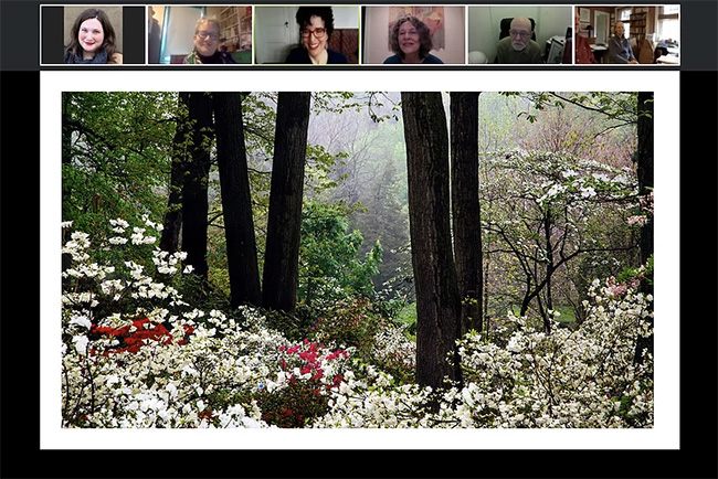 A group of ARTZ participants look at a photo of a forest on Zoom