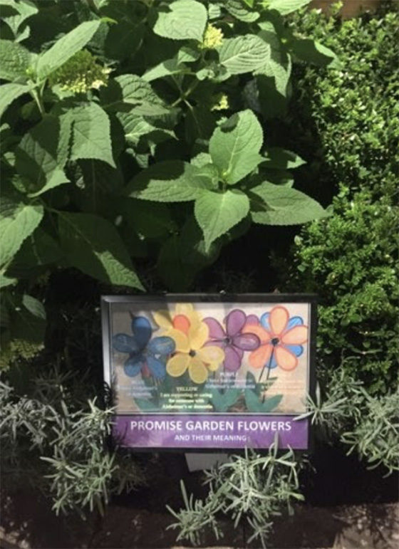 A garden of green plants labelled "Promise of Garden Flowers"